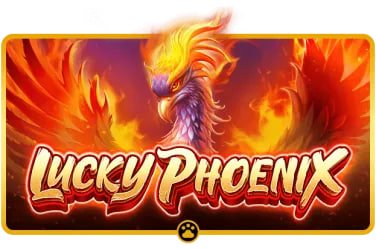 dragonslots banking Wave Money KBZPay AYA Pay Myanmar